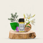 Cedar Forest - Image 4