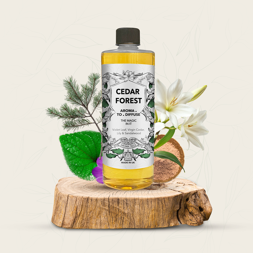 CEDAR FOREST 500ml Cedar Forest - Image 2