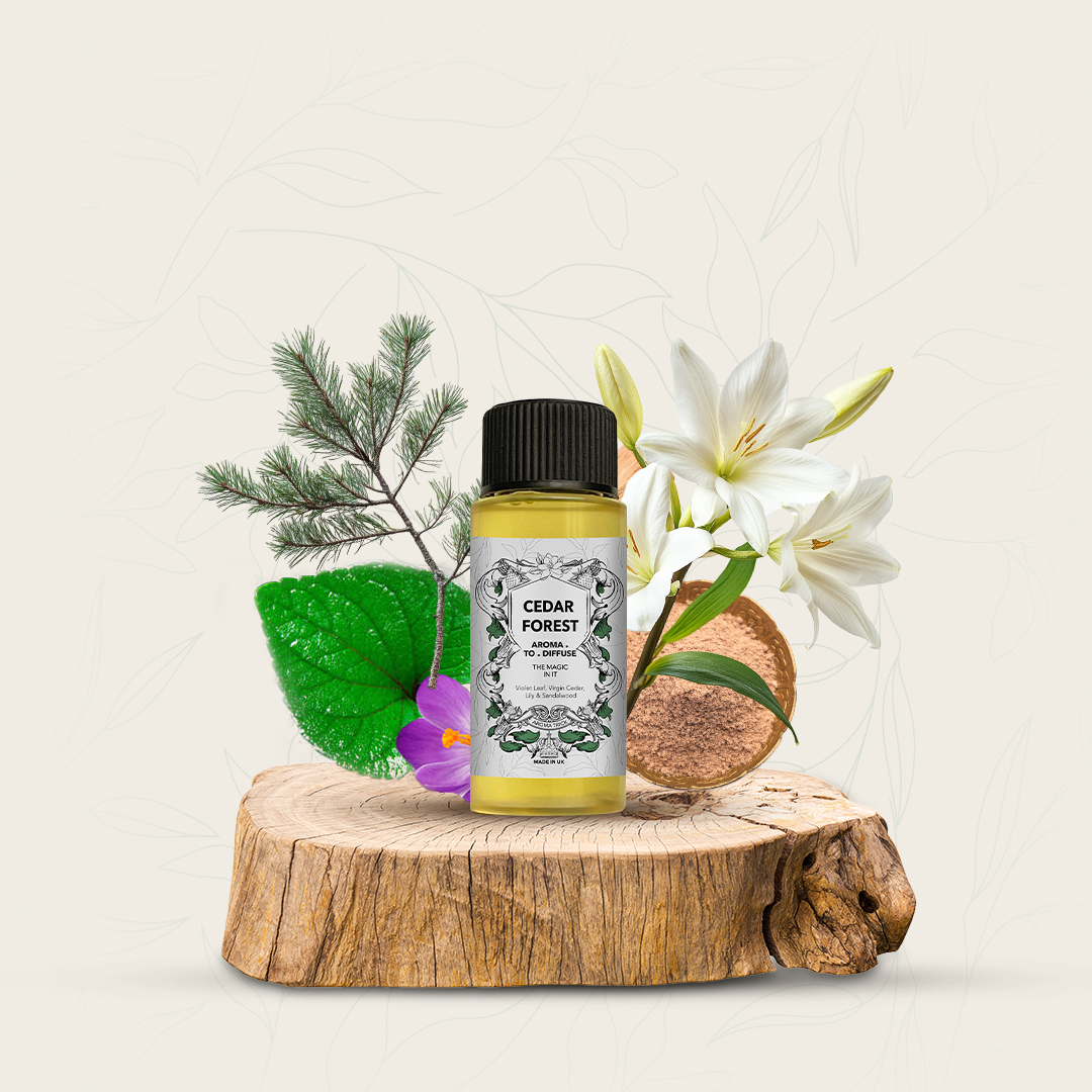 CEDAR FOREST 50ml Cedar Forest - Image 3