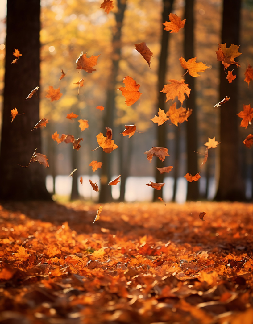 f47839ad7a862b4003ff43a2b729b97c2a61a6e7